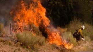 Czeski Związek Ochotniczych Straży Pożarnych ostrzega przed pożarami na polach i w lasach