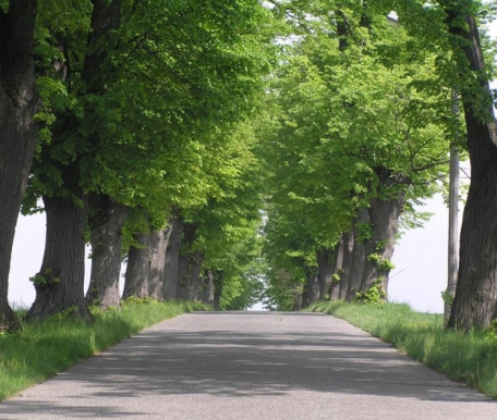 image-9.png