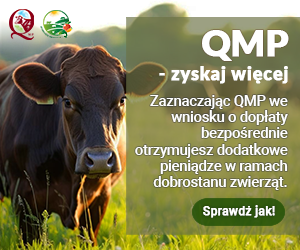 Miniaturka wiadomości